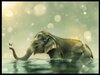 elephant in the water thumb.jpg