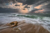 TEMPEST-SHOREBREAK-WEBSITE-XL.jpg