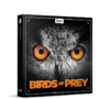 BirdsOfPrey-Sound-Effects-BOOM-Library.png