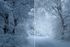 2025-03-03_132547.png
