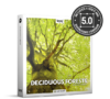 Deciduous-Forests-surr-QP-Nature-Ambience-Sounds.png