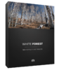 White_Forest_BoxCover.png