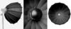 upload_2025-4-5_16-2-47.png