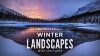 KO-Aaron-Web-IPlant-Winter-Landscapes-1280-X720.jpg
