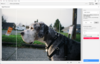 Pix-Pin-2025-04-16-17-04-03.png