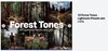 forest tones.jpg
