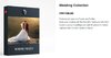 presetpro wedding collection.jpg