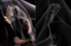 upload_2025-11-3_5-34-10.png