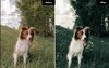 bright green presets.jpg