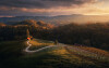 c7f57da-cc0b-26db-5c20-80bb8e7abe28-Slovenian-vineyards-web.jpg