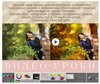 Снимок экрана 2019-02-19 в 9.01.31-1.jpg