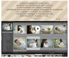 Снимок экрана 2019-02-19 в 9.05.50-1.jpg