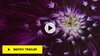 Screen Shot 2019-02-24 at 11.56.29.jpg