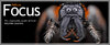 Banner-1.jpg