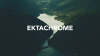 Extachrome.jpg