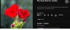 sparkling-sky-452.linkyhost.jpg