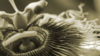 upload_2019-3-8_19-47-59.png