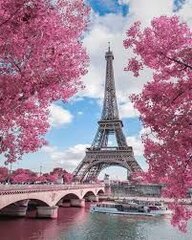 Ashley13Eiffel