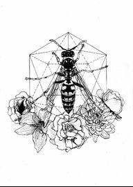 wasp