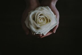whiterose1991