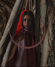 stereoscopic