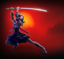 LadyNinja