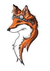 Mr. Fox