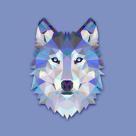ffowcs