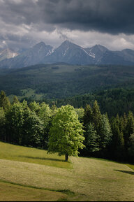 mozdzierzjakub