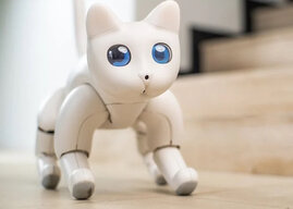 catpurrnicus