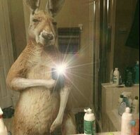 alxndr