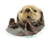 thosesillyboys