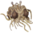 pastaclaus